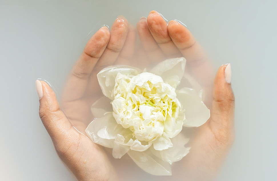 The Alefi Story with Rebeka Prislan